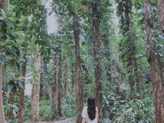 -华南国家植物园-售票处