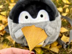 -重庆中央公园(渝北区)