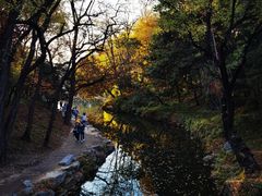 -颐和园