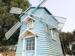 景点-铁山坪森林公园