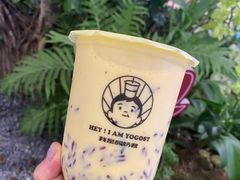 -我是酸奶君(壹方城店)