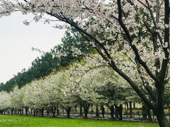 -同济大学(嘉定校区)