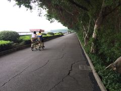 -大湾区中央湿地公园