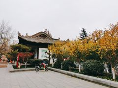 -莲湖公园