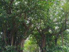 -人民公园(罗湖区)