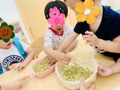 -蒙蒙狮蒙台梭利儿童之家