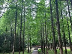 -东钱湖旅游度假区