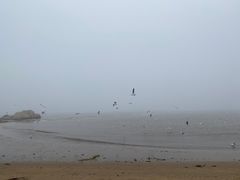 -老虎石海上公园