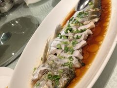 -金美华轩(东方路齐鲁店)