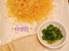 -丁老爷子苏香圆