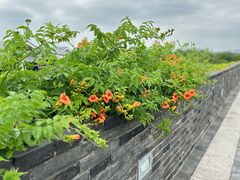 -相门城墙文化休闲景区