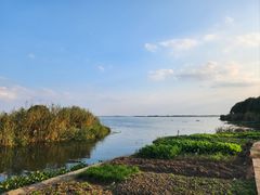 -莲花岛景区