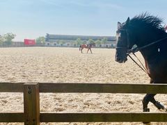 -松声马术俱乐部