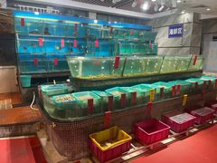 -海大大蒸汽海鲜餐厅·粤菜·特色小炒(欢乐颂店)