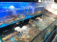 -苏格里岛自助烤肉海鲜火锅(成都金牛万达店)