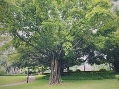 -荔香公园