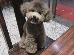 -爱诺耐芙动物医院(万博店)