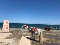 -青海湖国家重点风景名胜区