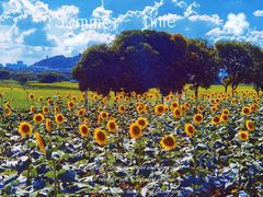 -光明小镇欢乐田园