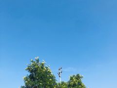 -咸阳湖景区