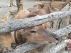 -竹泉村旅游度假区