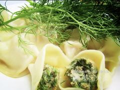 茴香鲜肉-孔一凡饺子