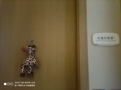 点击看大图 -杭州医学院附属妇儿医院