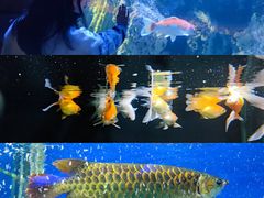 -南昌动物园
