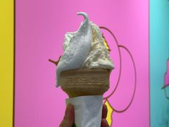 -柠檬车露(卖草地店)