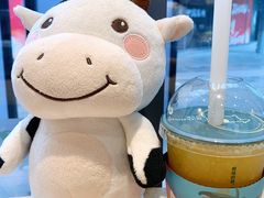宝岛橙青胖胖杯-迷客夏Milksha(圆融天幕店)
