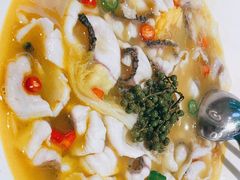 -青花椒花椒鱼(合生汇店)