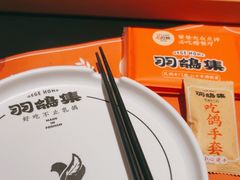 -羽鸽集·乳鸽专门店·地道顺德菜(岭南站店)