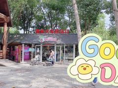 -合肥滨湖国家森林公园