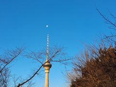 -中央广播电视塔