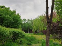 -北坞公园