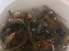 -特色东香泥鳅面螺丝面(金马小区店)