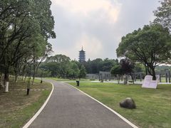-宜兴龙背山森林公园