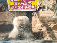 -无锡动物园·太湖欢乐园