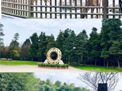 -金沙遗址博物馆