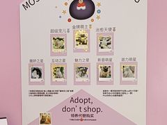 -PO PARK东方宝泰
