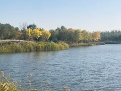 -东郊湿地公园