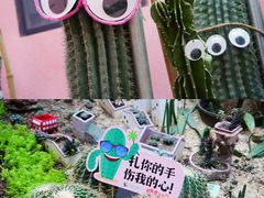 -正佳雨林生态植物园