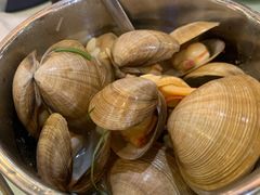 一桶黄蚬-渔娘渔家丹东海鲜(东直门店)