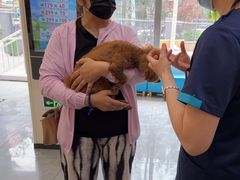 -美联众合爱康动物医院•复杂内科•肿瘤科•牙科•腔镜诊疗中心