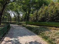 -泰丰公园