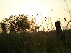 -艾溪湖湿地公园