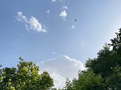 -大兴滨河森林公园