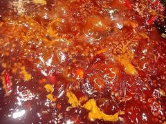 -红鼎坊·老成都火锅(新南门店)