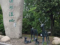 -溱湖国家湿地公园