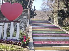 -镇江市南山风景名胜区竹林景区